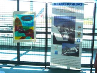 ailes3-petit